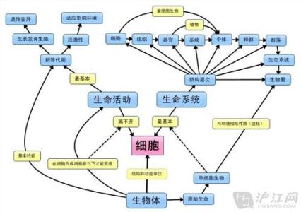 细胞分化知识点 高一生物《细胞的分化》知识点