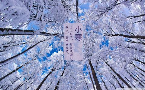 小寒节气图片 小寒节气图片 小寒图片素材 小寒图片背景