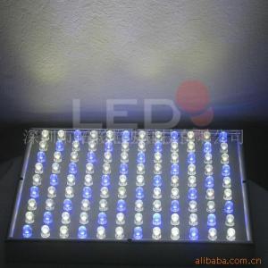 鱼缸led灯那个品牌好 鱼缸led灯那个品牌好?选购led灯的误区是什么?