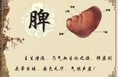 给肾怎么排毒 怎么给脾排毒