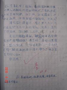 我学会了做家务400字 学会做家务作文400字