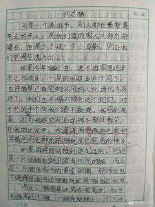 古怪的发明作文300字 古怪的猫作文300字4篇