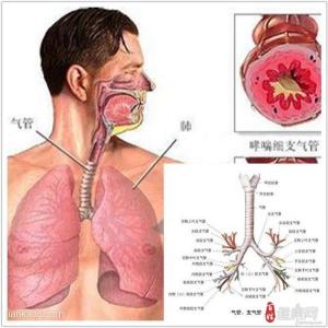 哮喘的自我疗法 哮喘治疗方法
