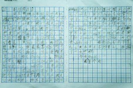 周记做家务550字 做家务周记600字