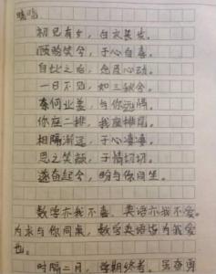 小学生我的学习态度作文300字