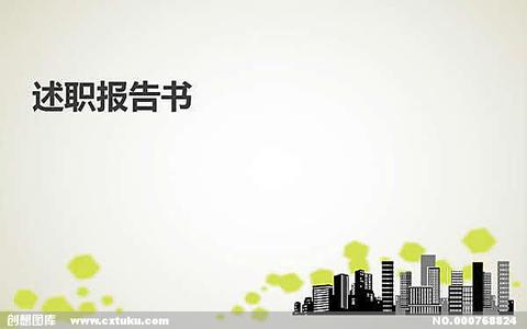 个人年度述职报告ppt 个人述职报告范文ppt