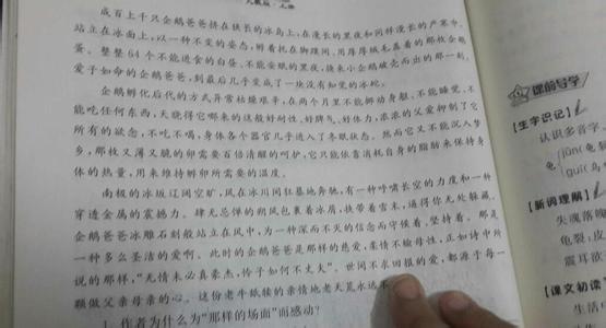 描写父爱的文章 关于父爱的短文章400字，描父爱的短文400字