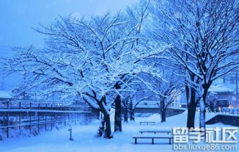 冬天的雪景作文 六年级写冬天雪景的作文_有关冬天雪景的六年级作文