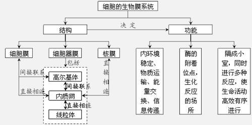 细胞生物学知识点 高中生物《细胞的基本结构》知识点