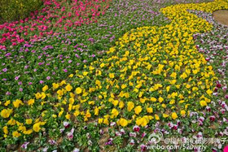 五一春游踏青好去处 福州春游踏青的好去处