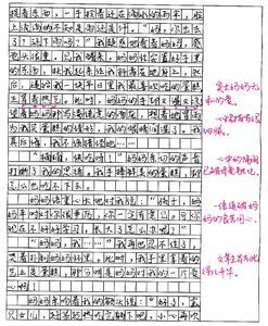 大学生活英语作文范文 生活随笔的作文范文4篇