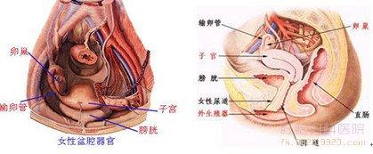 盆腔炎的最佳治疗方法 盆腔炎怎么治好得快 盆腔炎的治疗方法