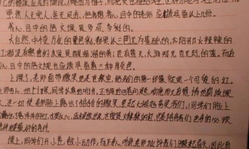 给老师画像作文500字 我的新老师作文500字6篇