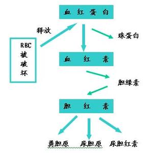 溶血性贫血能活几年 溶血性贫血怎么治疗