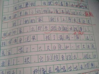 暑假趣事300字作文 三年级暑假的趣事作文300字，小学作文暑假趣事300字