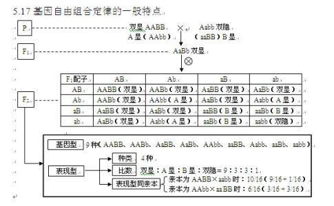 2017小升初知识点汇总 2017高考生物基因的分离规律知识点汇总