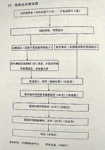 残疾证办理流程 办理残疾证需要携带的材料及办理流程_残疾证办理流程