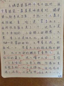 盼春节作文500字 盼春节作文_关于盼春节的作文