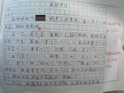 家务劳动日记400字 描写一次家务劳动日记400字