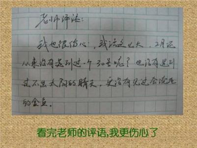 六年级作文评语大全 六年级作文的教师评语