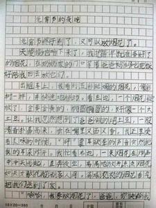 春节作文300字三年级 过春节的作文300字 春节作文300字