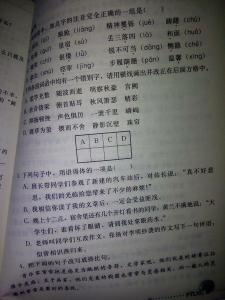 语文配套练习册八年级下册期末综合练习答案