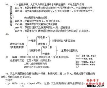 高一生物必修二知识点 高一生物必修一知识点总结全