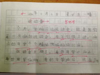 运动会日记400字作文 写运动的日记800字 关于运动的作文日记800字