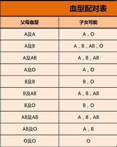 o型血与b型血生的孩子 a加b型血会生什么宝宝