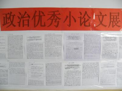 高中政治小论文 高中政治论文撰写