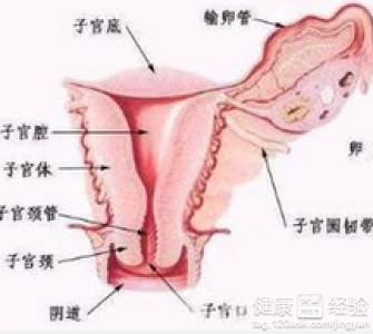 盆腔炎的最佳治疗方法 盆腔炎是怎么引起的 盆腔炎的治疗方法