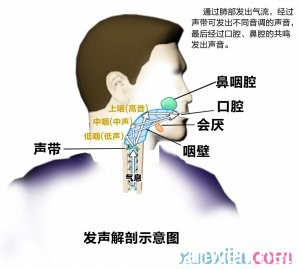 假音的学习技巧