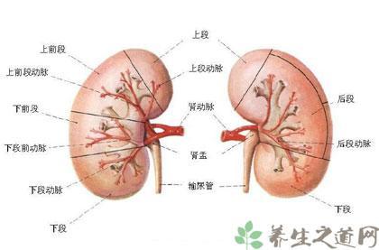 慢性肾衰竭原因 导致慢性肾衰竭的原因是什么