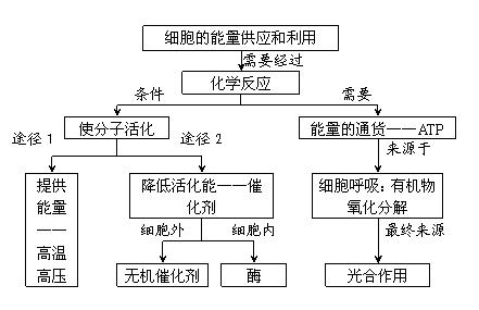 细胞的生命历程知识点 2017年高考生物细胞的生命历程知识点