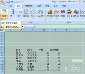 excel2010数据透视表 excel2010中数据透视表应用发票数据分析的方法