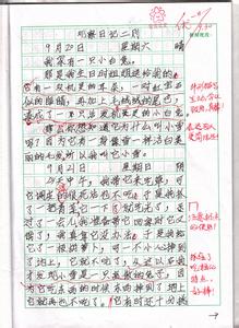 观察小白兔作文400字 观察小白兔说明文作文200字