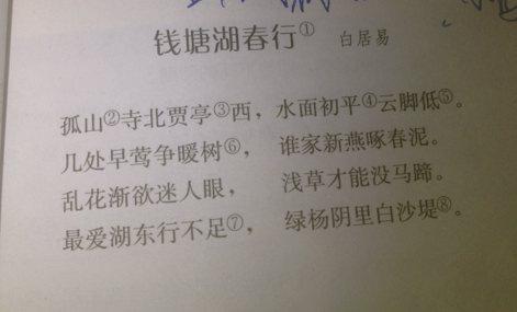 抒情散文 关于100字左右的抒情散文