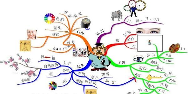 6d法则思维导图 关于思维导图的法则是什么