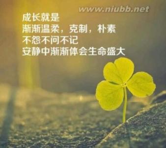 早晨励志语录正能量 乐观向上的正能量经典句子_积极向上的正能量励志语录