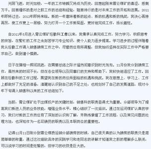 销售转正个人工作总结 销售转正的个人工作总结