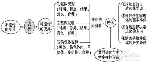 生物地理中考复习方法