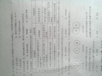 江苏省初三化学 2015年江苏省汇文实验中学初三上册月考化学试卷