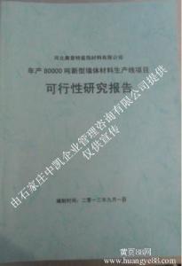 市政项目立项请示报告 项目立项请示报告