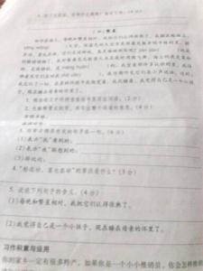 五年级下语文单元试卷 小学五年级语文单元试卷