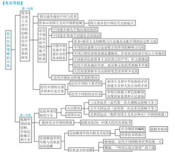 中考历史的复习知识点