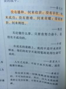 努力后成功的名言 经过努力成功的名言句子