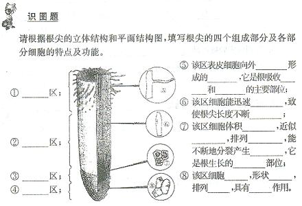 苏教版生物七年级下册 苏教版七年级上学期生物教案