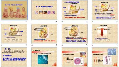 初一下册生物书苏教版 苏教版七年级下册生物教案