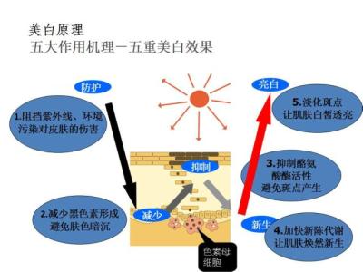 美容护肤基础知识 美容护肤基础知识有哪些