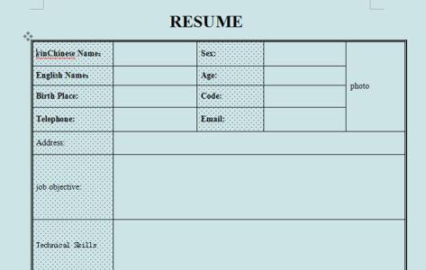 履历表表格 英文履历表格
